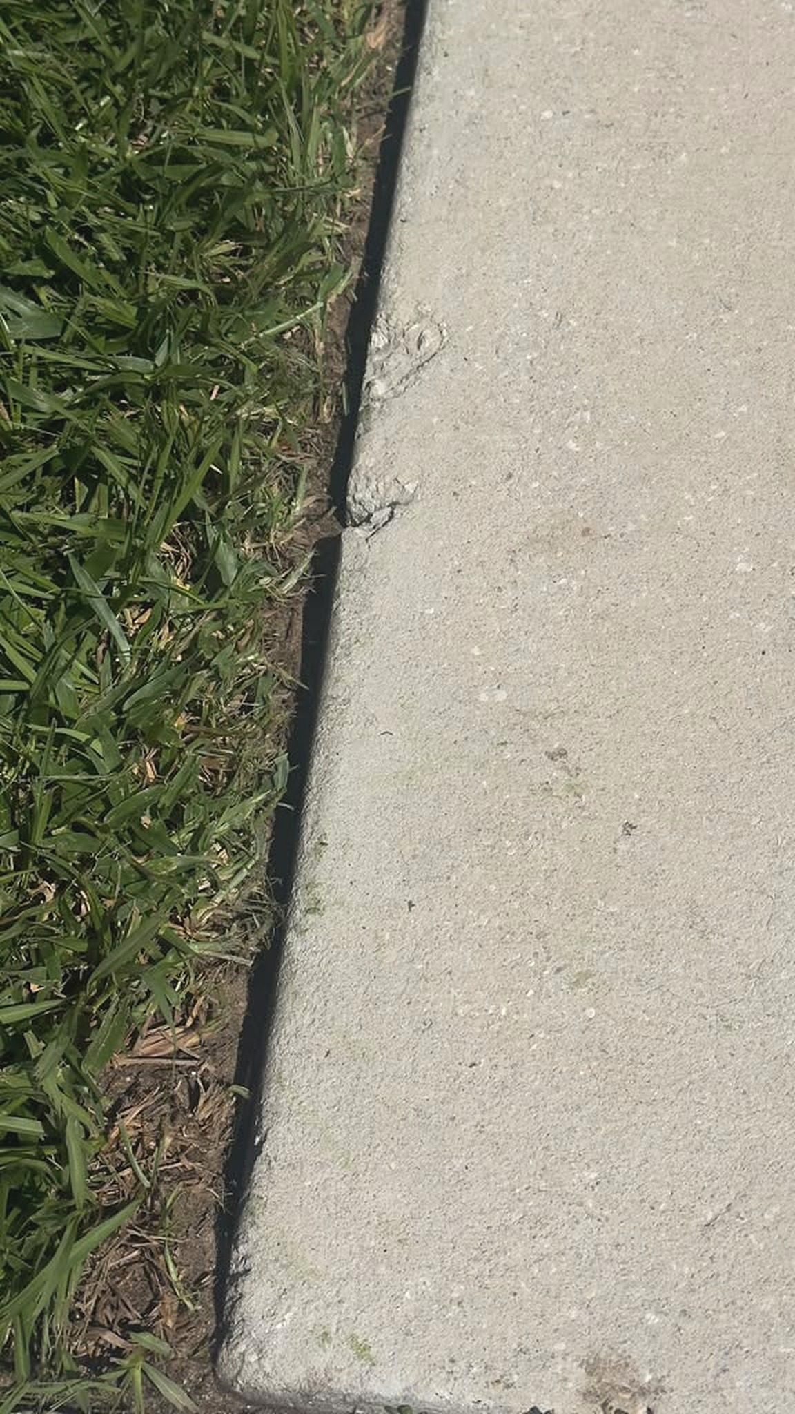 Crisp lawn edging along a Central Florida walkway